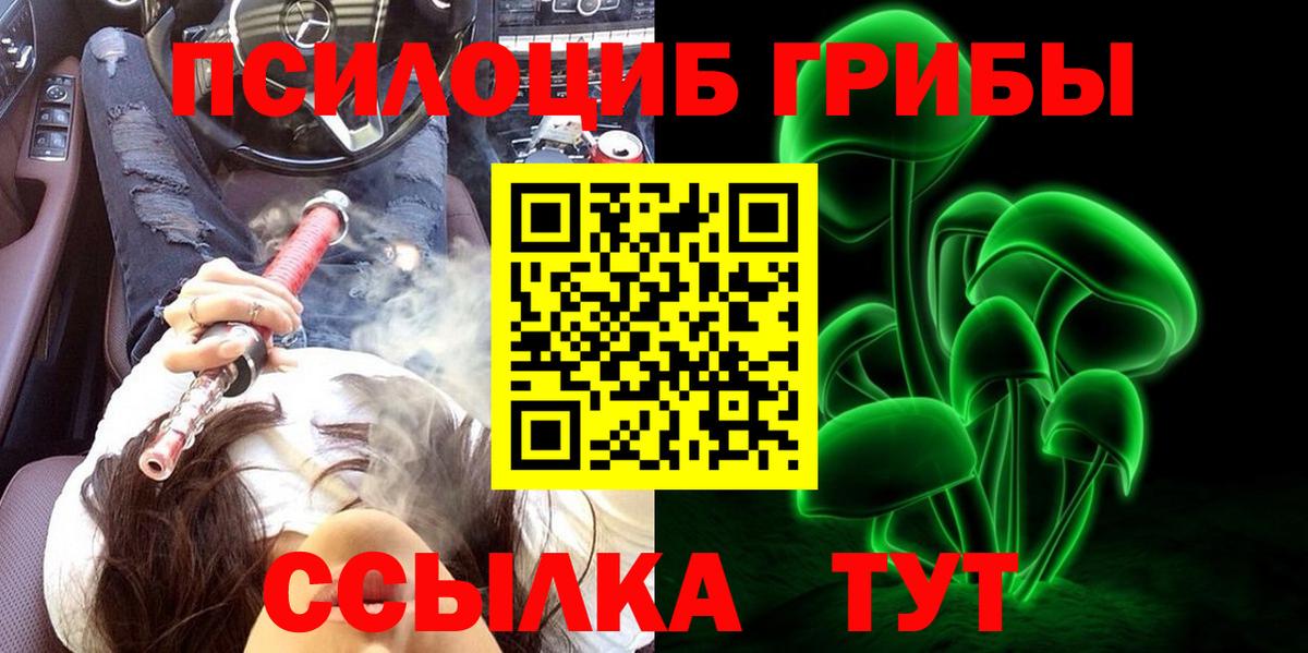 Псилоцибиновые грибы Psilocybe  Вход с VPN  Бийск 